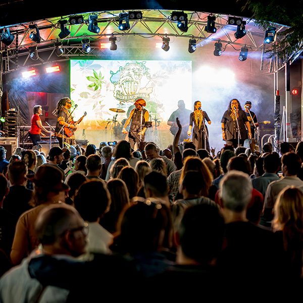 Bob Marley tribute